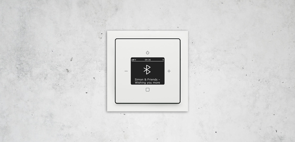 Busch-Radio Btconnect bei Jura Elektro in Petersbuch
